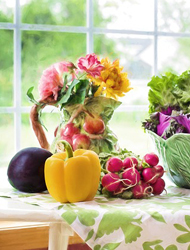 网站攻击工具手机版