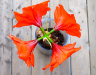 免费ddos在线攻击测试网站